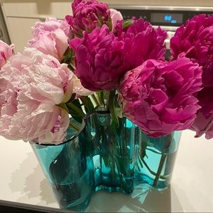 Meet your Posher, Sylvia